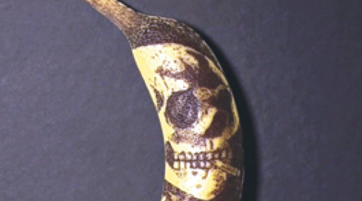 Művészien szurkálja a banánt