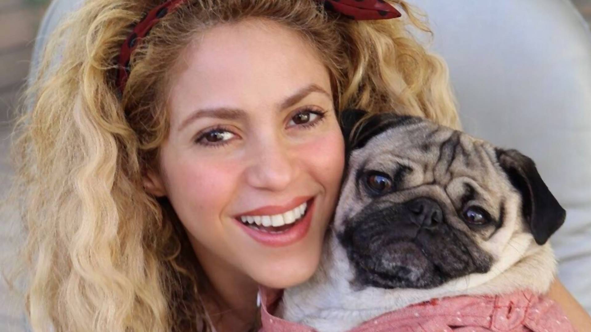 Shakira traci swoje piękne włosy na skutek choroby