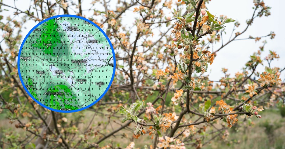 Nocne przymrozki nie odpuszczają – w Bieszczadach i na północy nawet -2°C