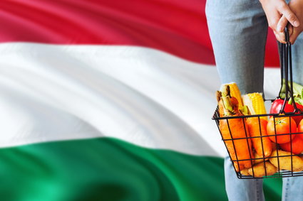 Węgry najbardziej "rozgrzaną" gospodarką w naszym regionie