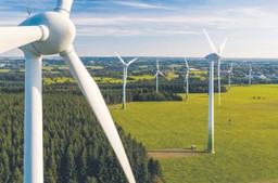 Przez drożejący prąd grożą nam upadłości dużych przedsiębiorstw