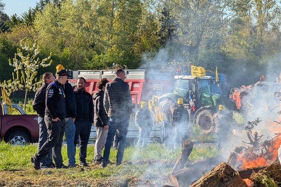 Prvo su zauzeli useve, sada ulaze u kuće, Australija se bori s velikom pošasti: "Ovako nešto nismo videli godinama"