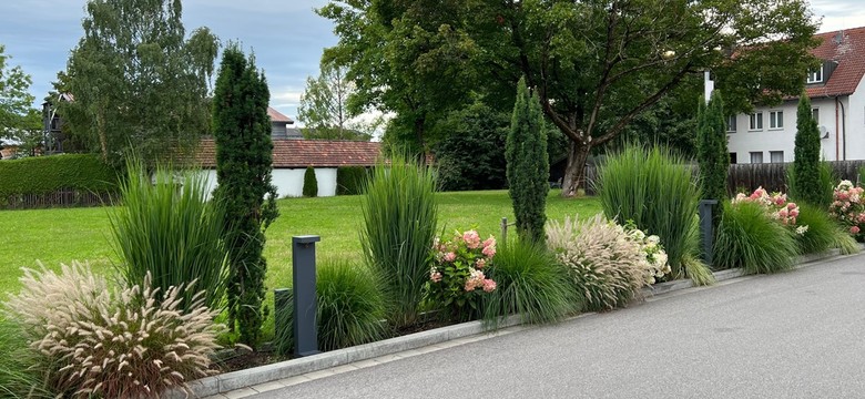 Wąska rabata wzdłuż podjazdu. Jakie bezproblemowe rośliny posadzić przed domem?