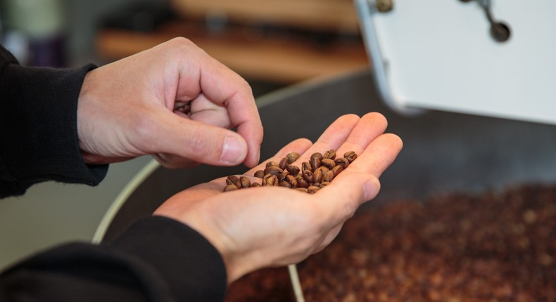 Roasted coffee beans is seen being inspected at specialty coffee shop Onibus Coffee on May 20, 2016 in Tokyo, Japan. The Onibus Coffee building was originally a old traditional Japanese house that was converted to what it is at present. With the rise of specialty coffee shops opening all over the world in recent years, Tokyo's coffee culture catches on to offer quality coffee to like minded people across all walks of life.
