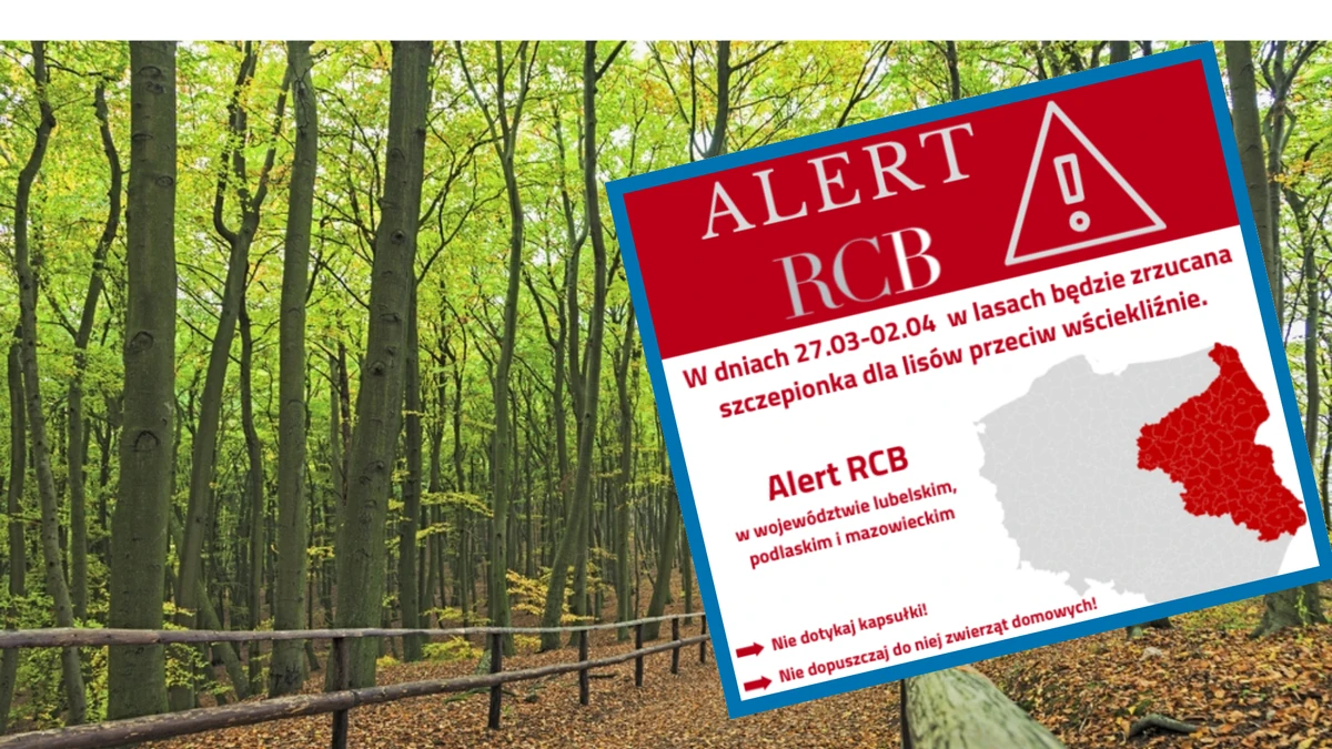 Alert RCB. Ostrzeżenie dla mieszkańców trzech województw