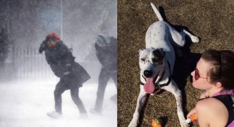 Left: Pedestrians struggle against the wind in Boston during a rare March 14 blizzard. Right: Quinn Murphy and a dog enjoy a hot February day in Chicago.