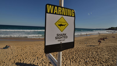 Drony wykrywające rekiny będą patrolowały plaże w Australii