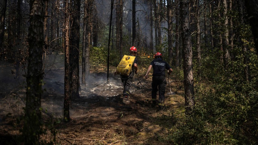 U Deliblatskoj peščari vatrogasci gase manja žarišta | Foto: Reuters