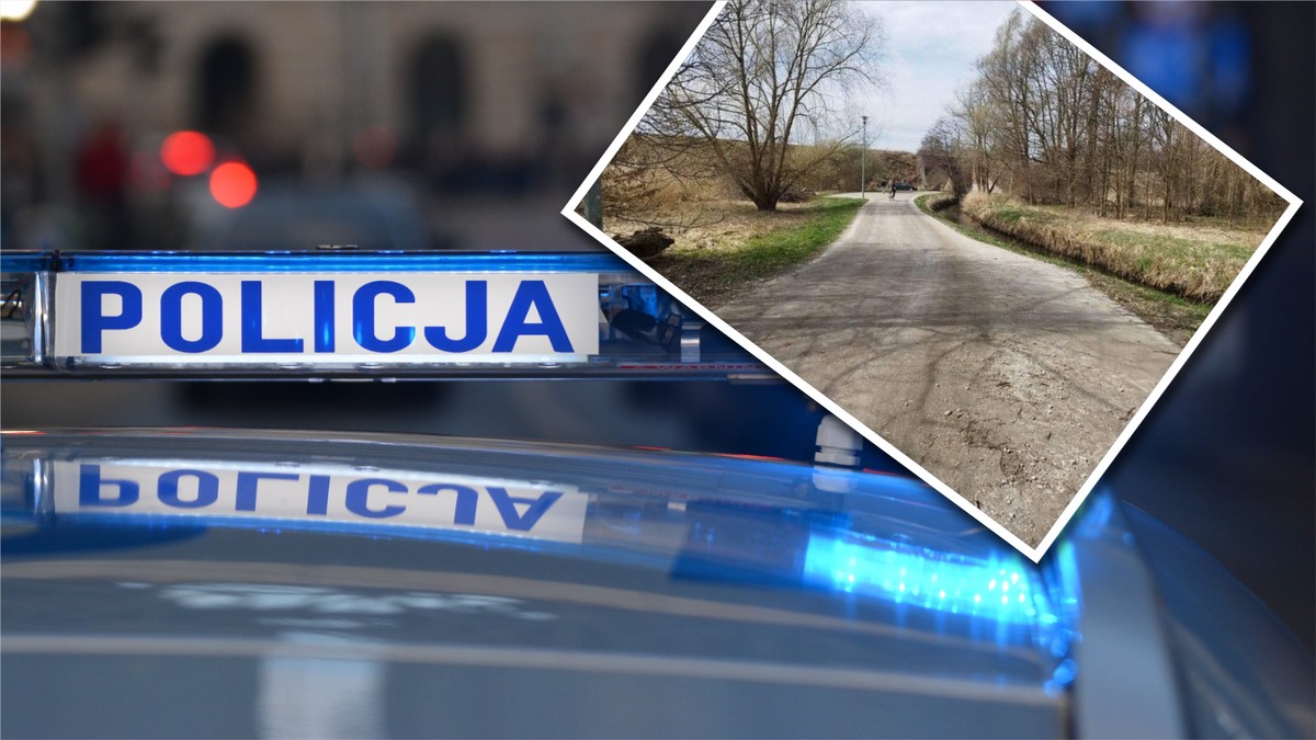 Makabryczny widok w parku. Ktoś zrobił to kotu