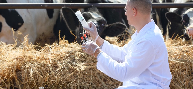 Mieć powołanie do roboty w odchodach. Gorzka prawda o doli weterynarza