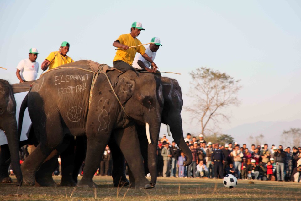 NEPAL ELEPHANT FOOTBAL