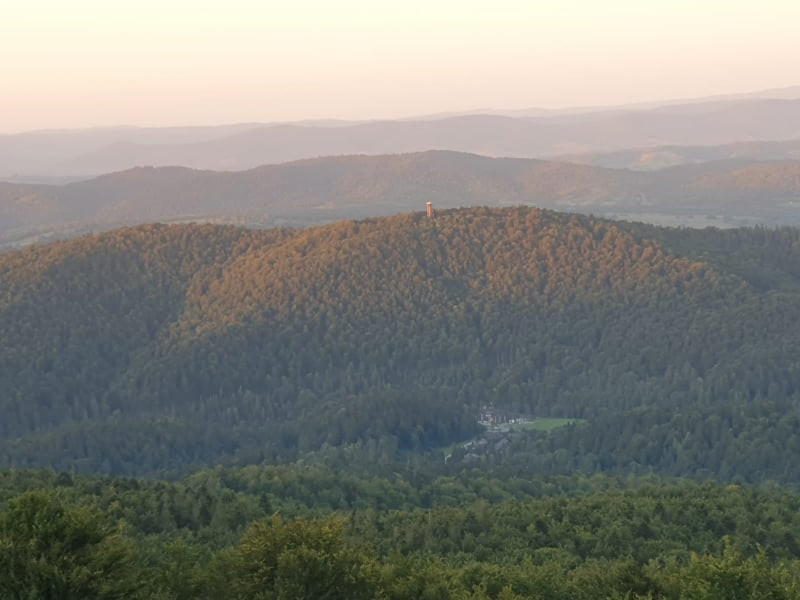 Wieża widokowa na grzbiecie Jeleniowatego w Mucznem, Bieszczady