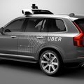 Uber testuje autonomiczne samochody na drogach Arizony