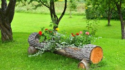 betonowe donice są już passe. to będzie hit 2026 roku. najmodniejsze donice do ogrodu