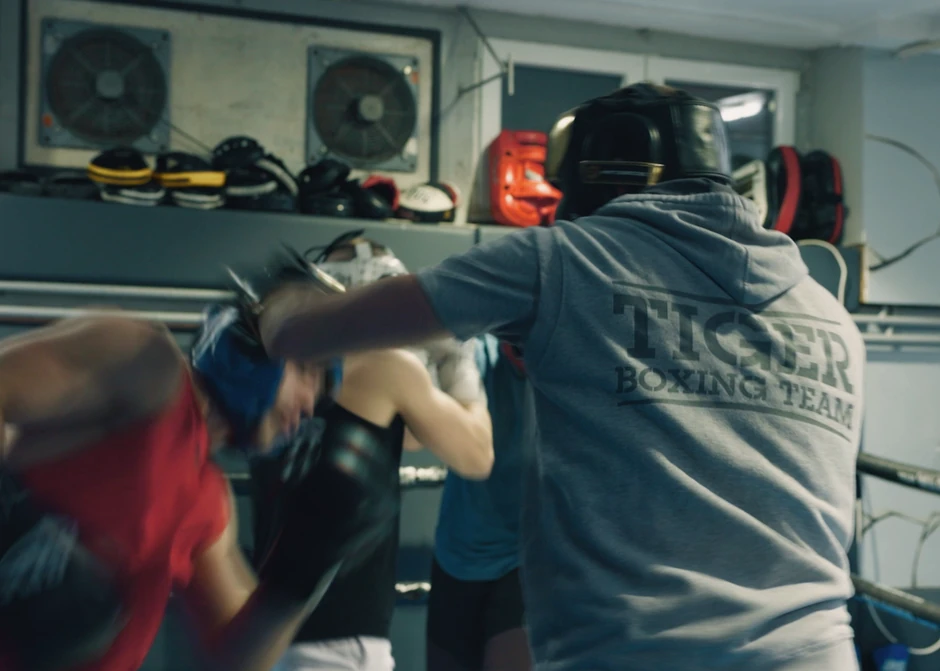 Veljko Ražnatović, Ceca show