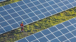 Agrowoltaika bez zmian w prawie. Ministerstwo rolnictwa nie planuje wprowadzać nowych rozwiązań