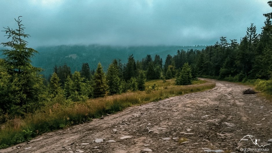 Żółty szlak jest przyjemny i szeroki jak autostrada