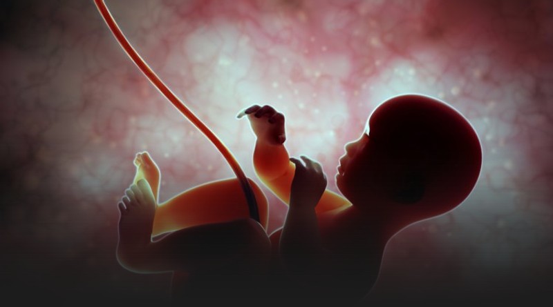 Adolescents drink weedicides to abort pregnancies - Ghana Health Service