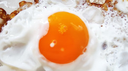 Ile białka ma jajko? To zależy od kury