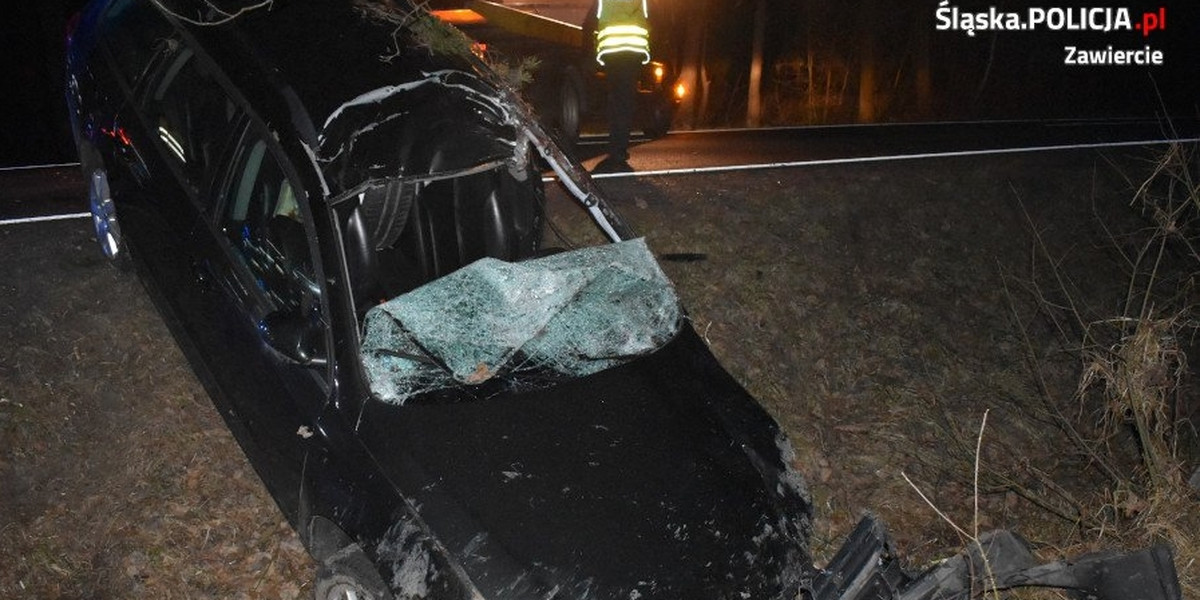 Śląsk. Łoś wbiegł na drogę. NIe żyje 33-letni kierowca. 