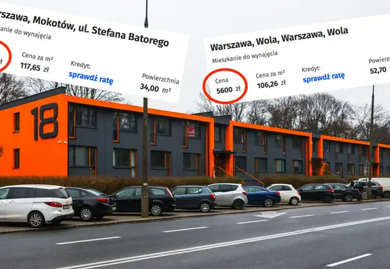 Absurdalne ceny wynajmu mieszkań. Inflacja to tylko pretekst