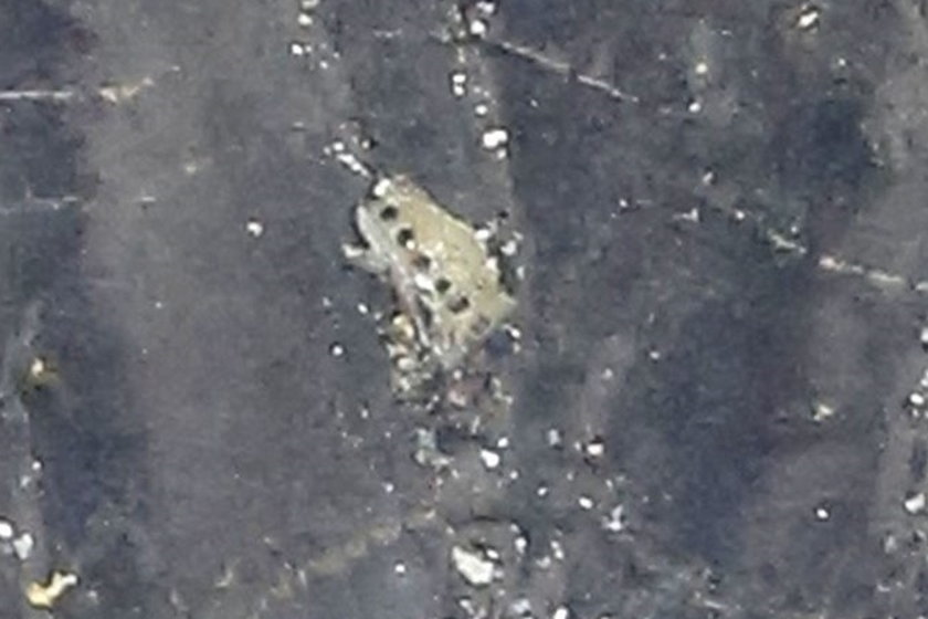 Pierwsze zdjęcia z katastrofy Airbusa
