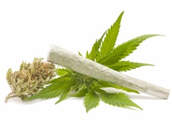 Marihuana legalna w dwóch stanach USA