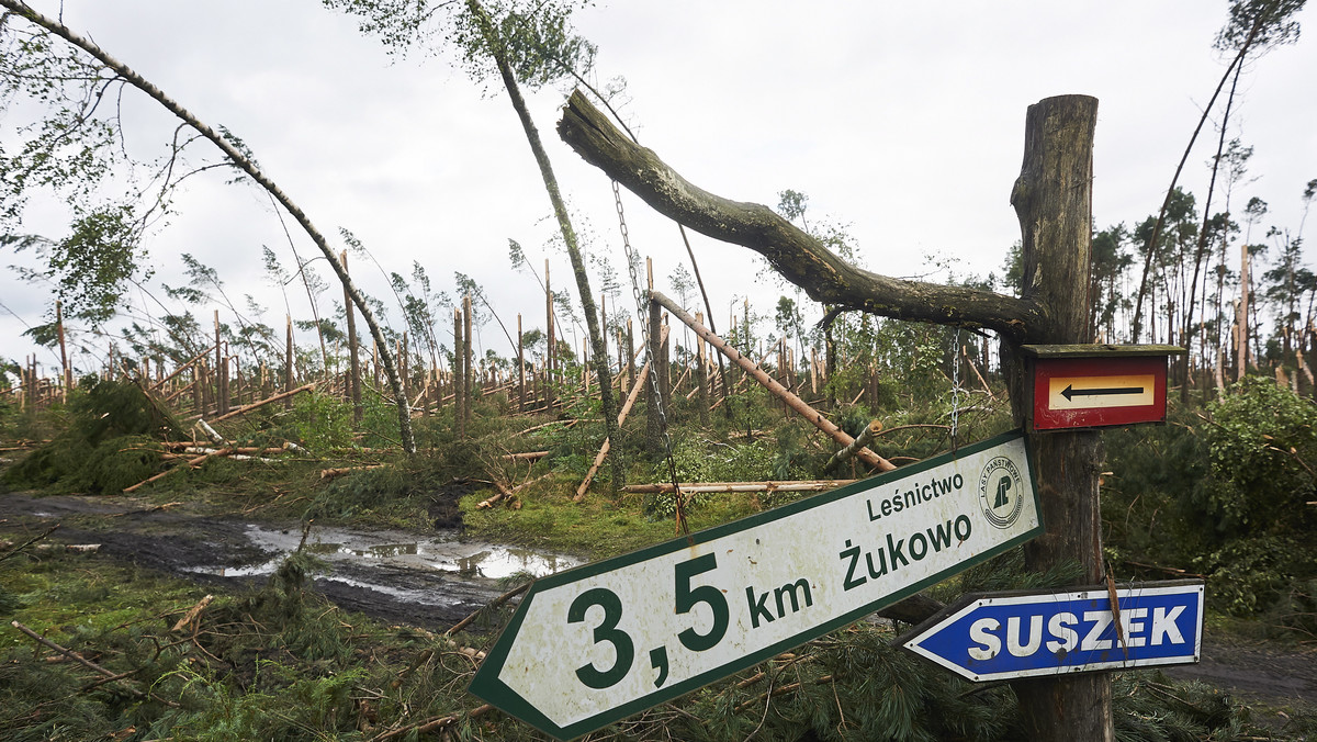 Zarzut nieumyślnego niedopełnienia obowiązków służbowych postawiła Prokuratura Okręgowa w Słupsku dwojgu synoptykom IMGW. Oboje pełnili dyżury meteorologiczne w dniu nawałnicy, w wyniku której w Suszku zginęły dwie harcerki.