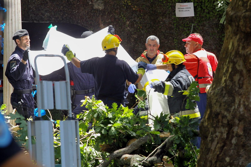 Tragedia na procesji. Drzewo zabiło pielgrzymów