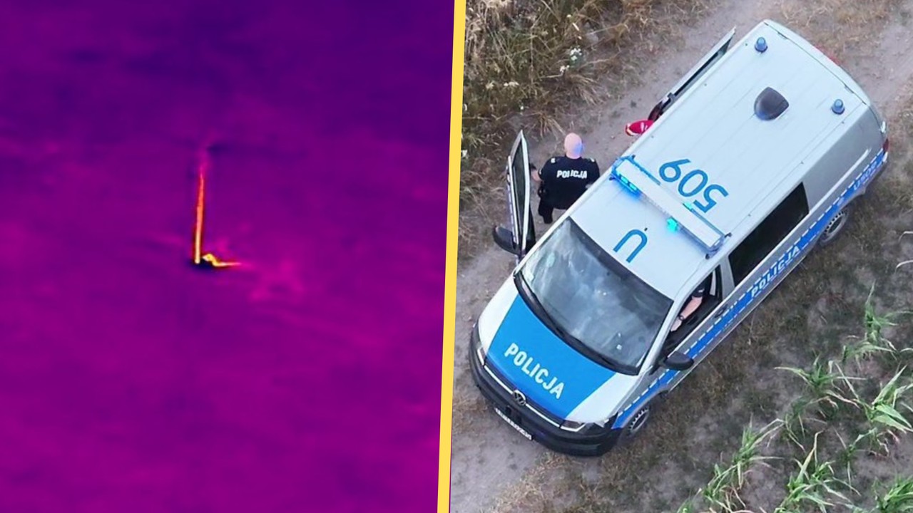 Dron namierzył plamę ciepła na polu kukurydzy. Policjanci odetchnęli z ulgą