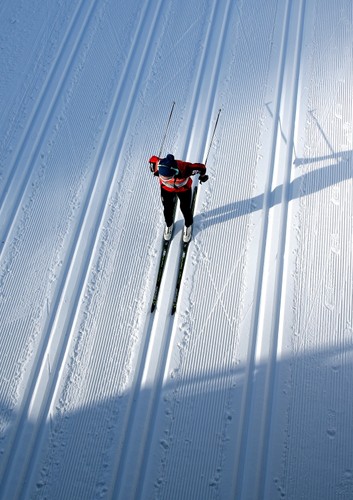 Justyna Kowalczyk podczas treningu we włoskim Val di Fiemme