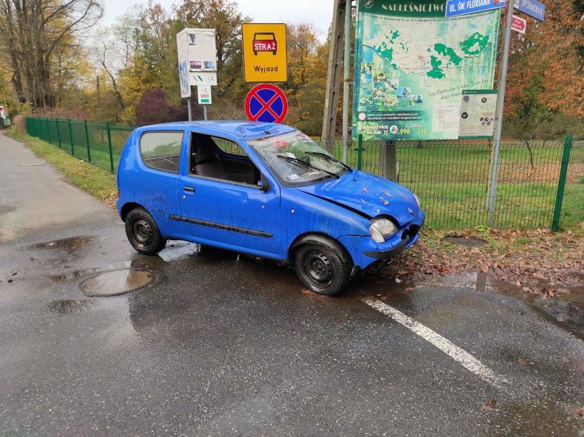 Tragiczny wypadek w Krasiejowie