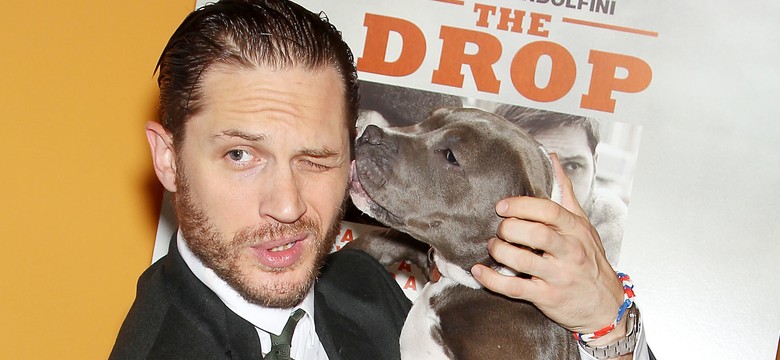 Tom Hardy w komedii romantycznej? Nigdy w życiu!