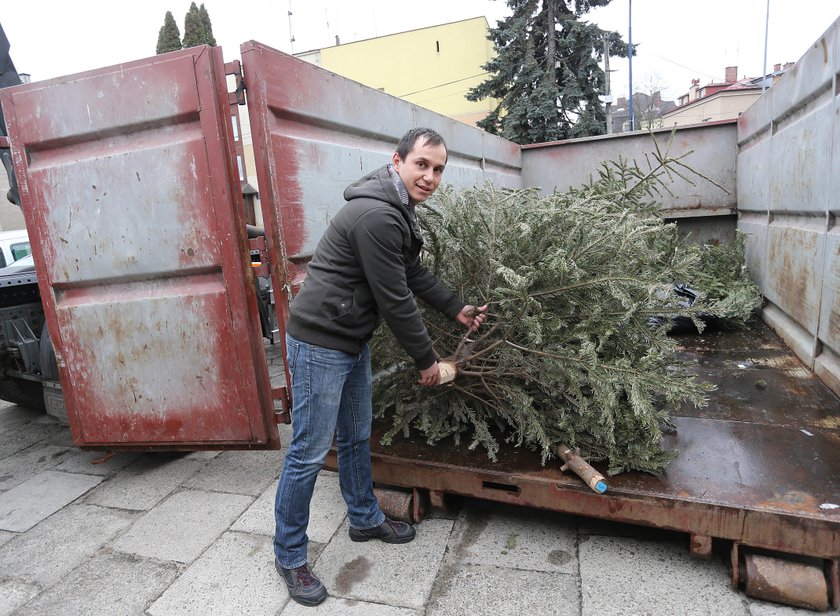 Rusza poświąteczna zbiórka choinek w Krakowie