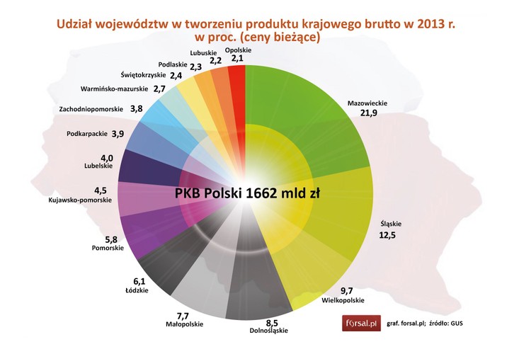 Aż 21,9 proc. polskiego PKB w 2013 r. zostało wytworzone w województwie mazowieckim. Jak widać, co piąta złotówka w PKB Polski pochodziła w 2013 roku z Mazowsza. Udział drugiego w rankingu woj. śląskiego wyniósł już tylko 12,5 proc. Natomiast najsłabsze gospodarczo województwo opolskie wypracowało zaledwie 2,1 proc. PKB kraju.