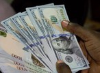 Naira makes huge recovery against dollar, gains ₦88.23 on Friday