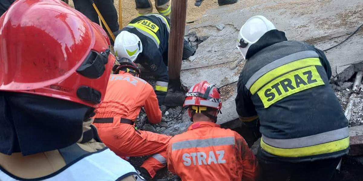 Kujawsko-pomorskie. W jednym z gospodarstw zawalił się strop nad oborą. Zginęło sześć krów. 