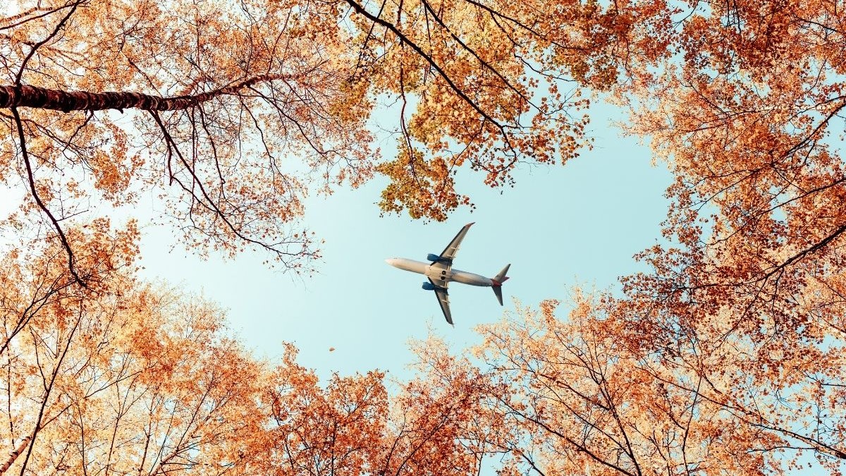 Zborurile spre România au crescut cu peste 25% de Halloween. Cât plătesc românii și străinii care vin în țară la final de octombrie