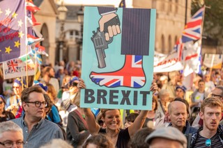 Życie po brexicie. Oto dlaczego Wielka Brytania nigdy nie wróci do UE [WYWIAD]