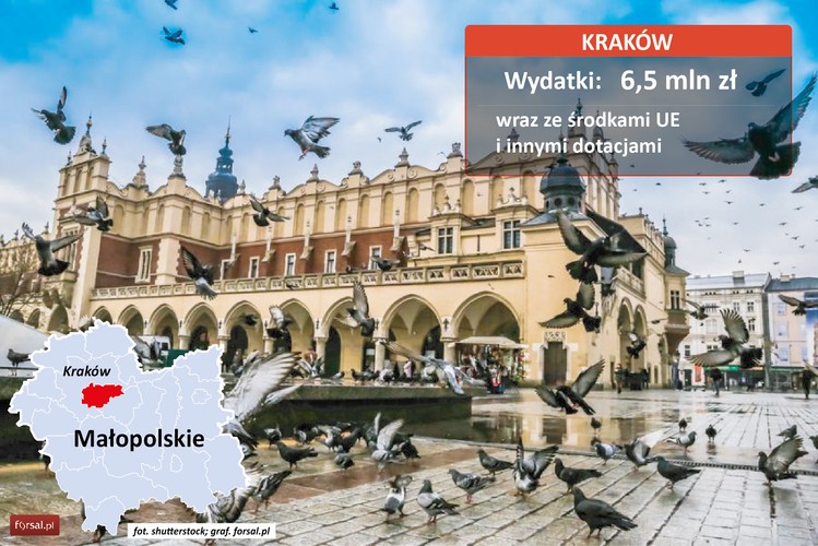 Na szóstym miejscu rankingu znalazł się Kraków. Na wydatki promocyjne stolica Małopolski przeznaczyła łącznie (wraz ze środkami UE i innymi dotacjami) 6,5 mln zł. W ramach tych funduszy Kraków przeprowadził telewizyjną kampanię wizerunkową o zasięgu krajowym „Kraków – przyjedź i znajdź swoją historię”. Poprzez kampanię informacyjno-promocyjną miasto zachęcało także podatników mieszkających, a nie zameldowanych w Krakowie, do rozliczania podatku PIT w Krakowie.<br>
Wydatki na drobne gadżety takie jak: smycze z karabińczykiem, torby papierowe, parasole automatyczne i aluminiowe zestawy do pisania wyniosły 99,6 tys. zł.