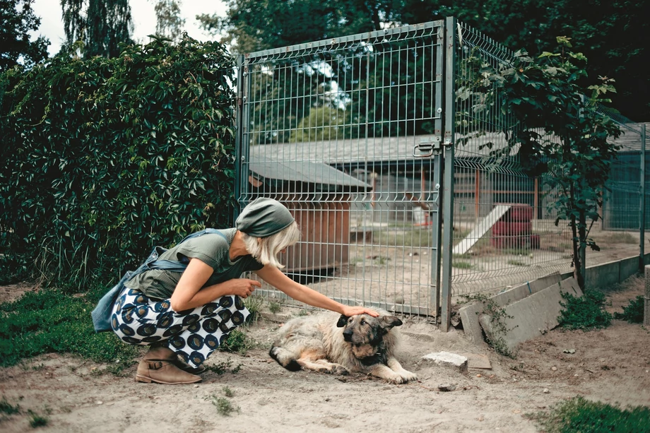 Marina w schronisku dla psów Medor w Łodzi