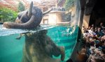 Orientarium – najnowocześniejsze zoo w Europie!