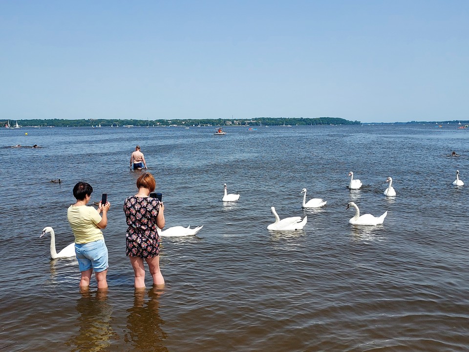 Plaża w Nieporęcie