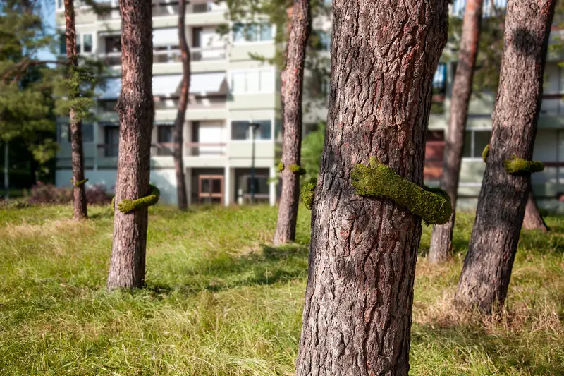 &quot;TREE HUG&quot;, Monsieur Plant