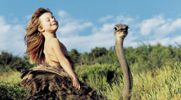 Tippi, az igazi Maugli - Fotó: Northfoto