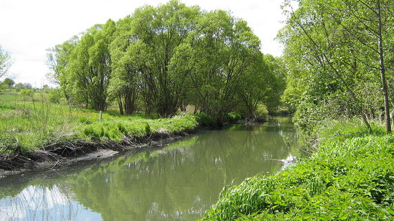 Rzeka Ner na Lublinku w Łodzi, fot. Arewicz, wikimedia.org, licencja: CC BY-SA 4.0
