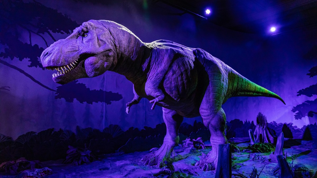 Tiranosaurus reks