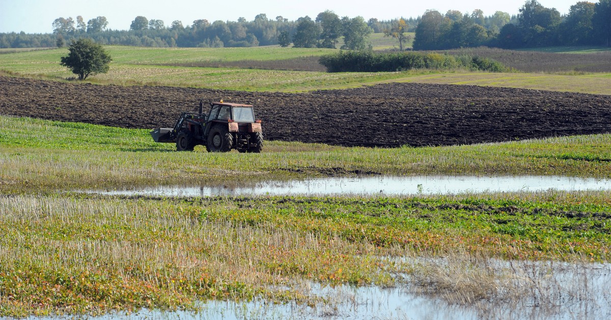 Nowe wsparcie dla rolników. Nabór wniosków rusza 1 grudnia