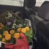 Belgijanac pokušao da "prošvercuje" ženu iz Maroka