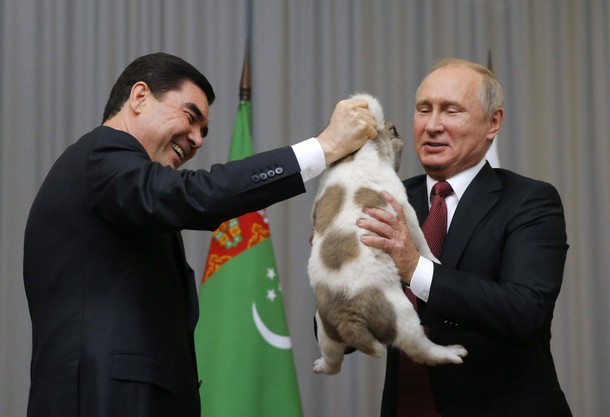 Turkmenistan's President Berdimuhamedov meets with his Russian counterpart Putin in Sochi